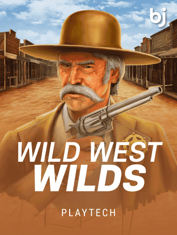 Wild West Wilds icon